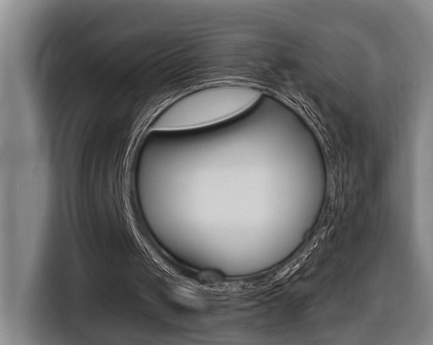 X0000116510049200912090955