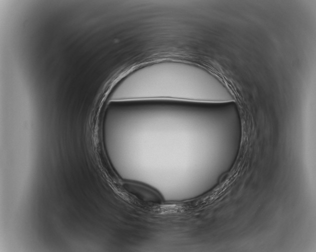 X0000116510050200912090955