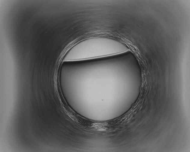 X0000116510051200912090955