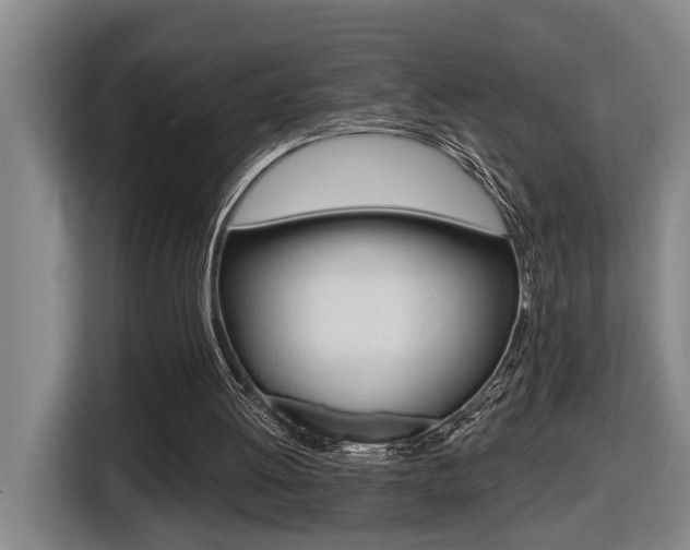 X0000116510052200912090955