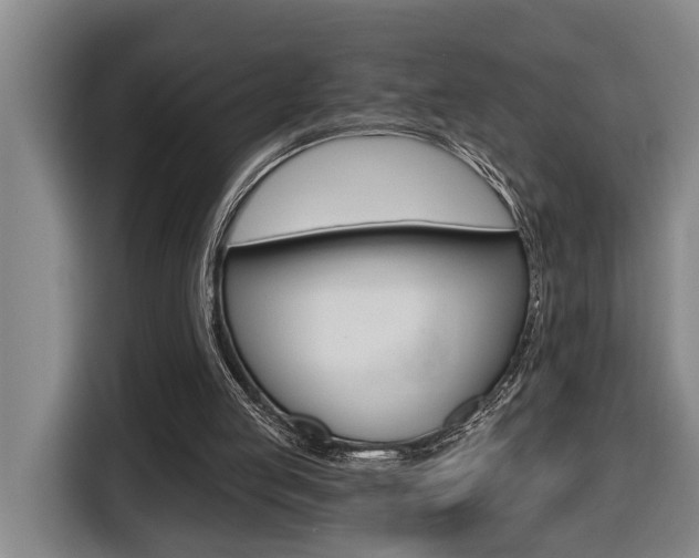 X0000116510053200912090955