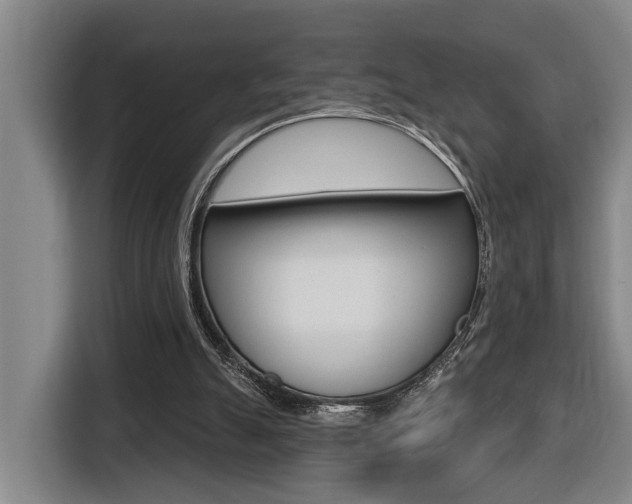 X0000116510055200912090955
