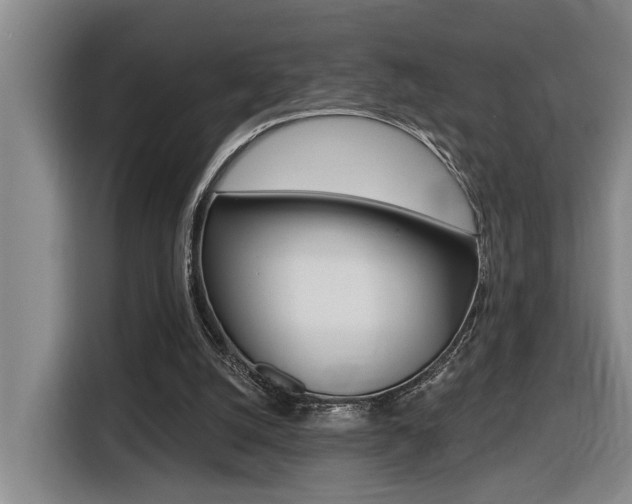 X0000116510056200912090955
