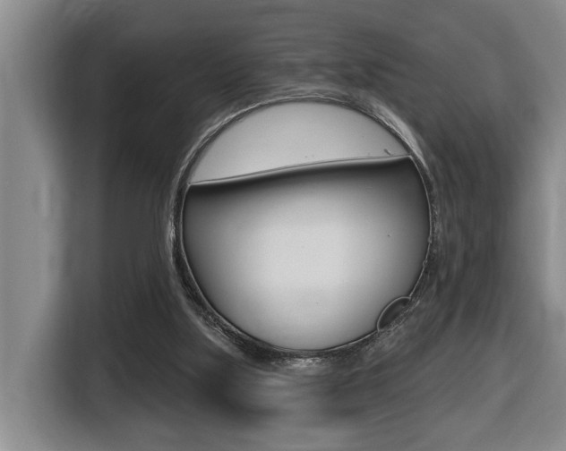 X0000116510059200912090955