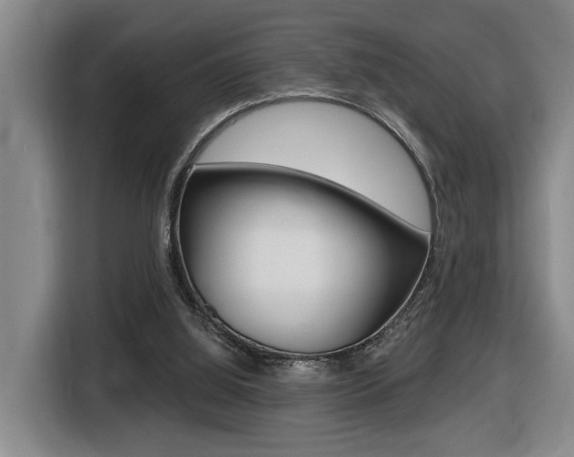X0000116510060200912090955