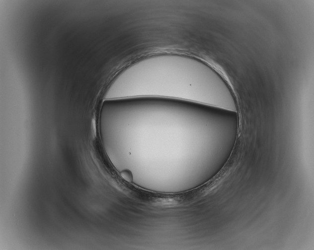 X0000116510061200912090955