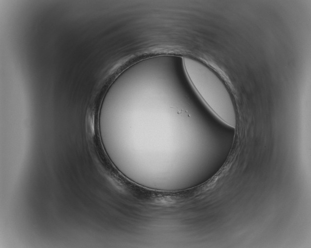X0000116510062200912090955