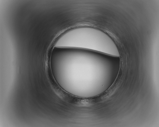 X0000116510064200912090955