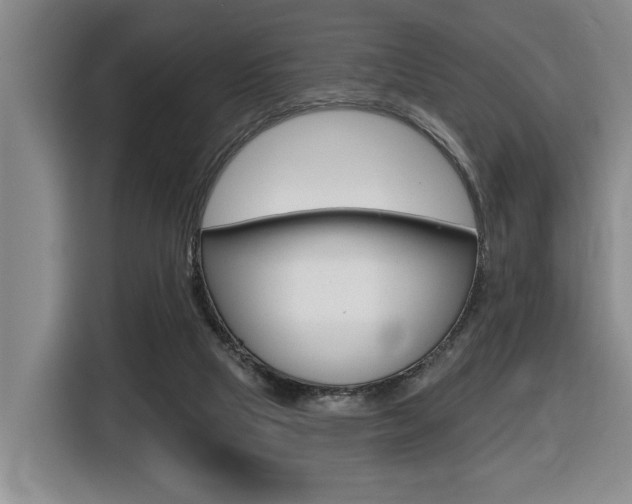 X0000116510065200912090955