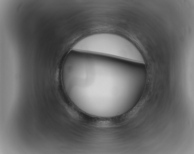 X0000116510066200912090955