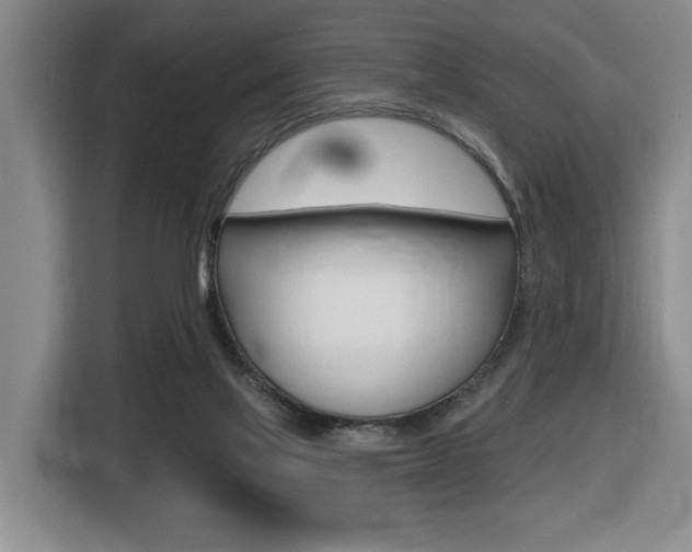 X0000116510069200912090955