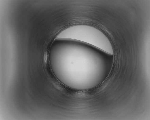 X0000116510076200912090955