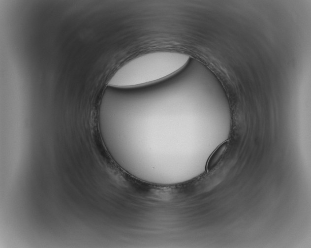 X0000116510079200912090956