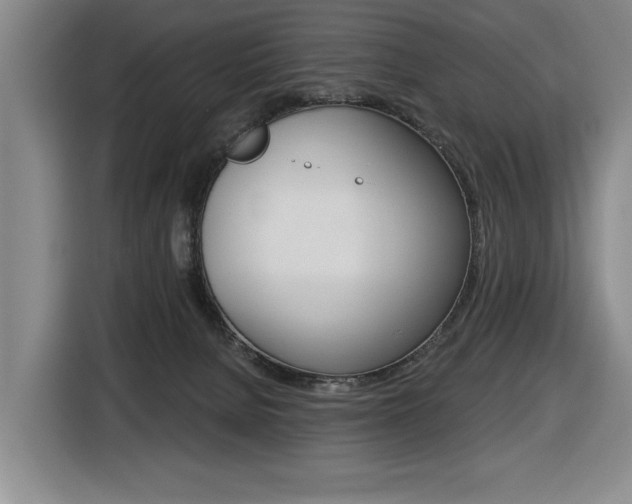 X0000116510080200912090956