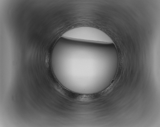 X0000116510082200912090956