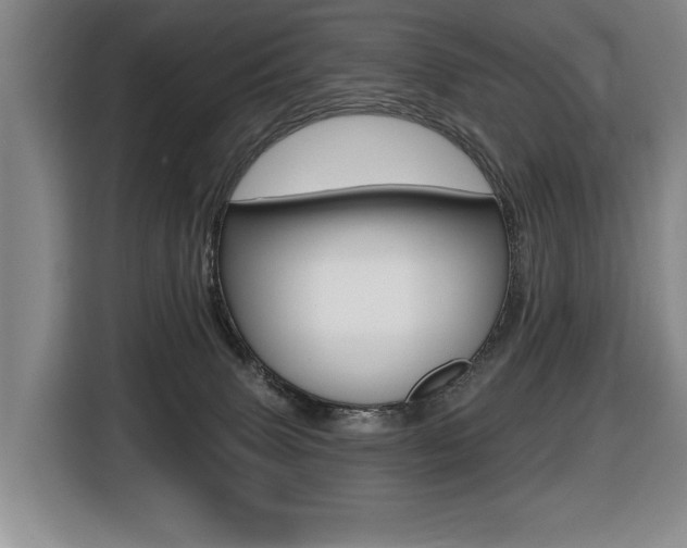 X0000116510083200912090956
