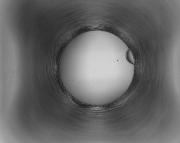 X0000116510085200912090956