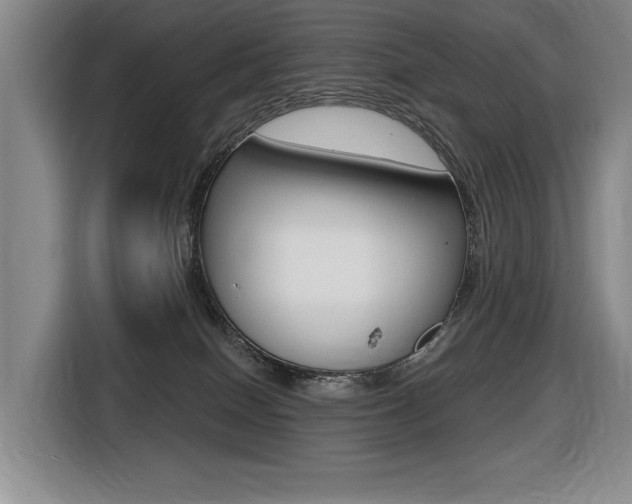 X0000116510086200912090956