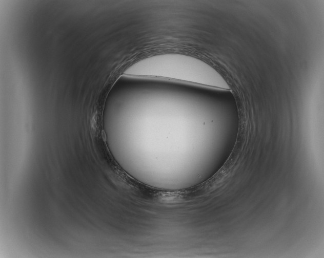 X0000116510088200912090956