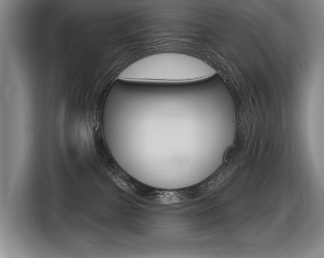 X0000116510091200912090956