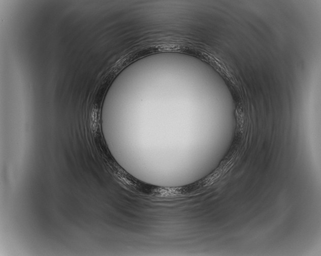 X0000116510093200912090956