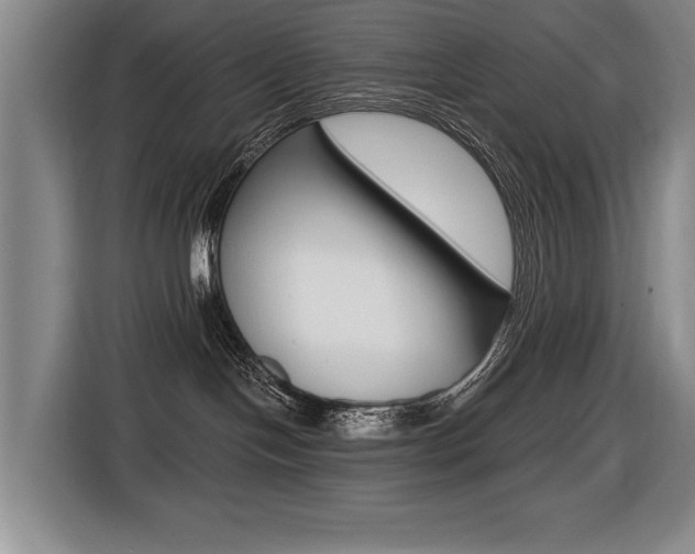 X0000116510094200912090956