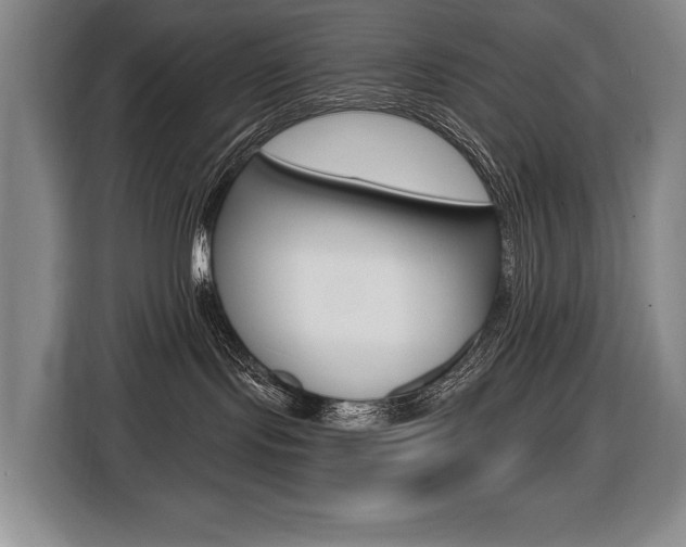 X0000116510095200912090956