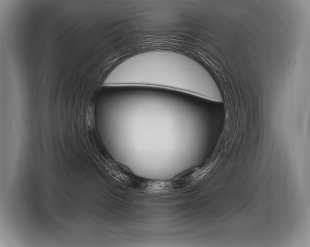 X0000116510096200912090956