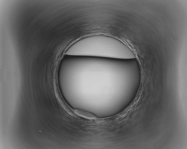 X0000116510097200912090955