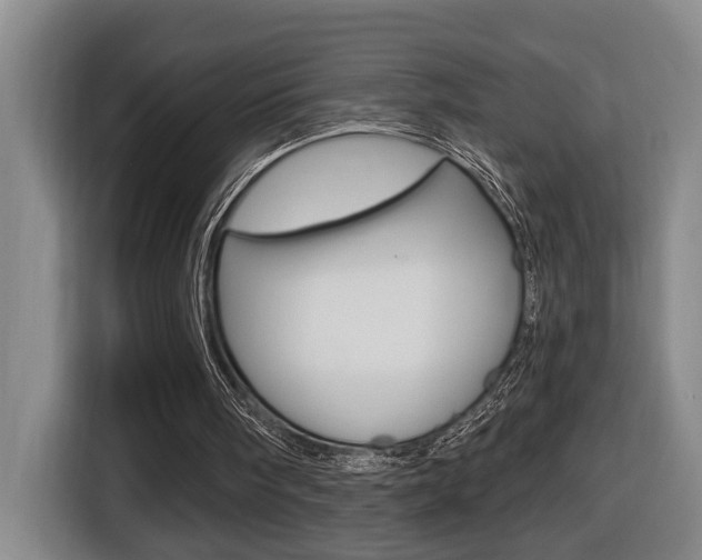 X0000116510098200912090955