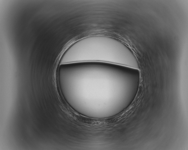 X0000116510099200912090955