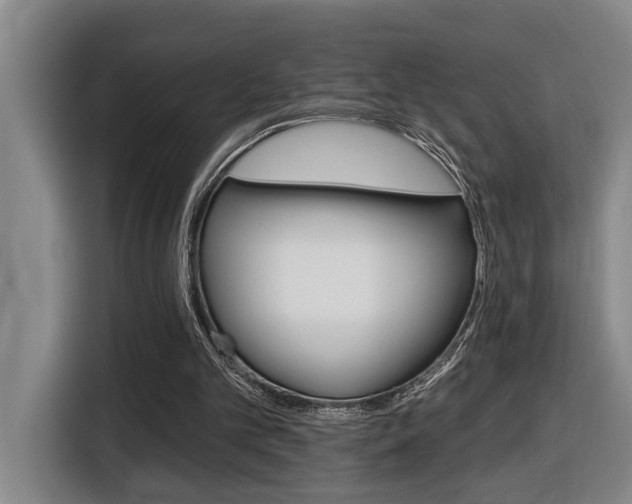X0000116510101200912090955