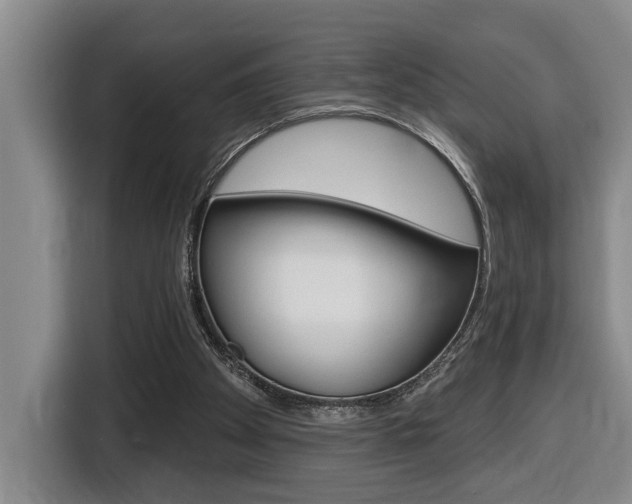 X0000116510105200912090955