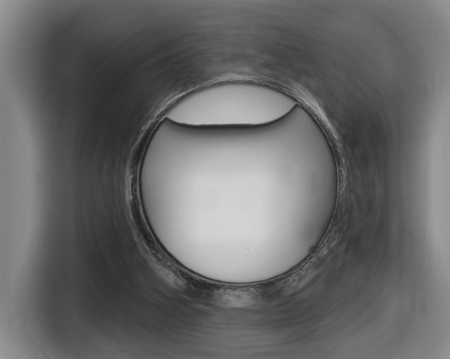 X0000116510106200912090955