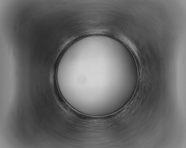 X0000116510107200912090955