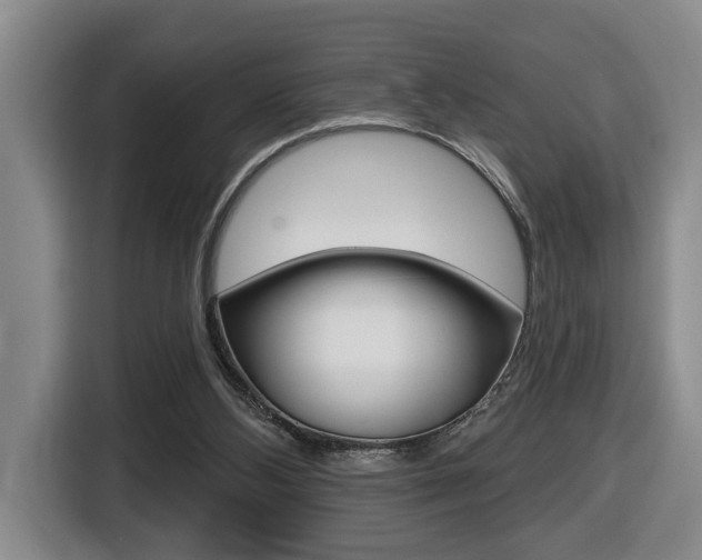 X0000116510108200912090955