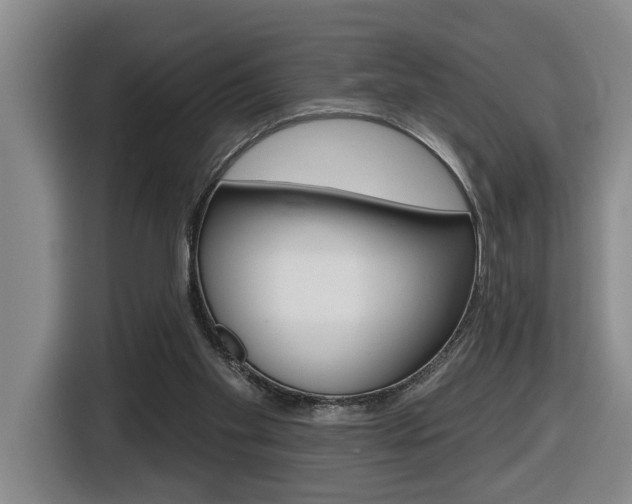 X0000116510109200912090955