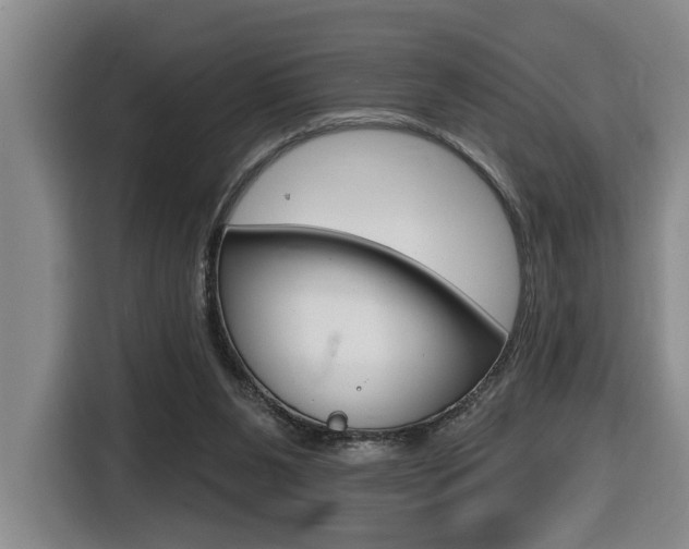 X0000116510111200912090955