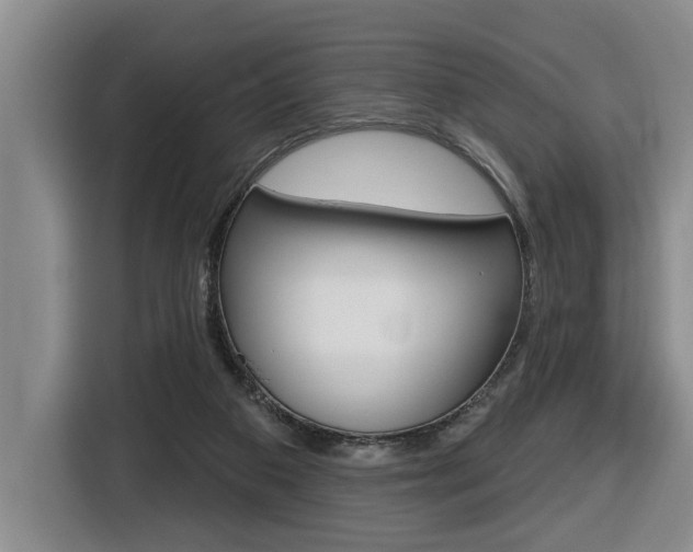 X0000116510113200912090955