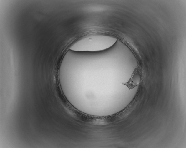 X0000116510114200912090955