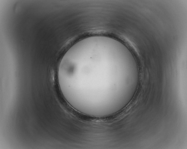 X0000116510115200912090955