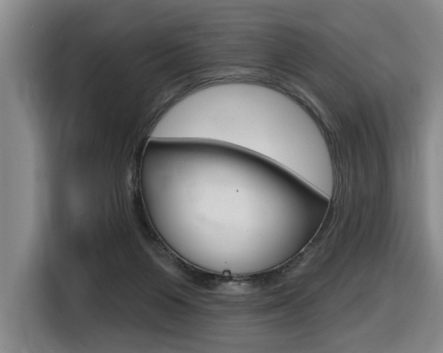 X0000116510119200912090955