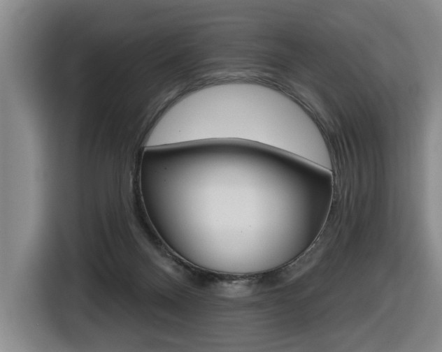 X0000116510120200912090955