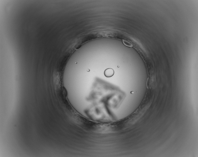 X0000116510121200912090955