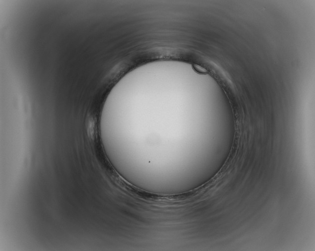 X0000116510123200912090955