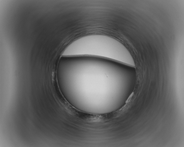 X0000116510124200912090955