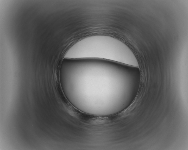 X0000116510128200912090955