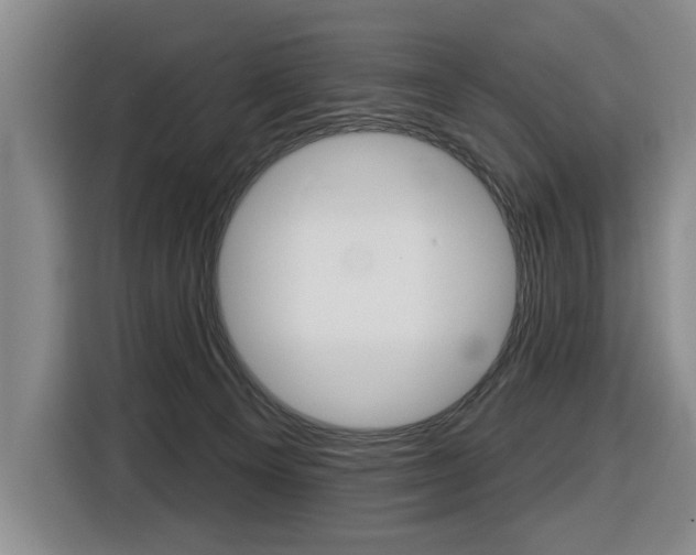 X0000116510129200912090955