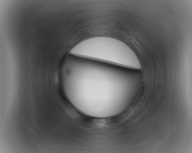 X0000116510131200912090955