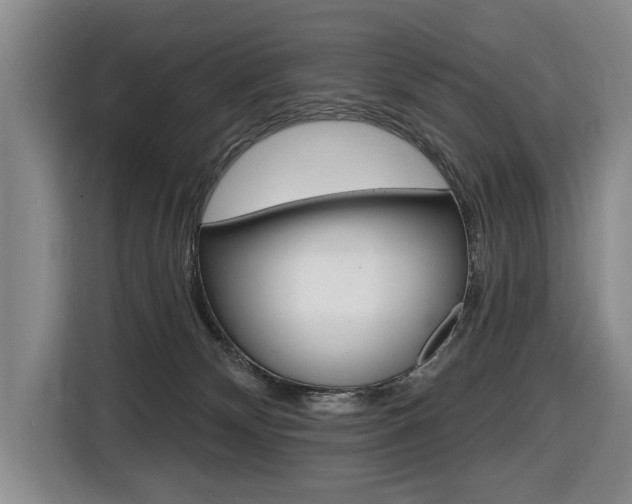 X0000116510132200912090955